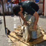 Alan Shearer wedding