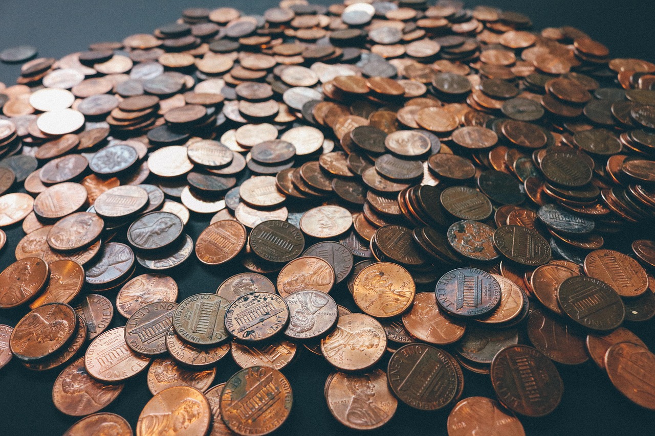 How to Lifestyle Change on a Budget