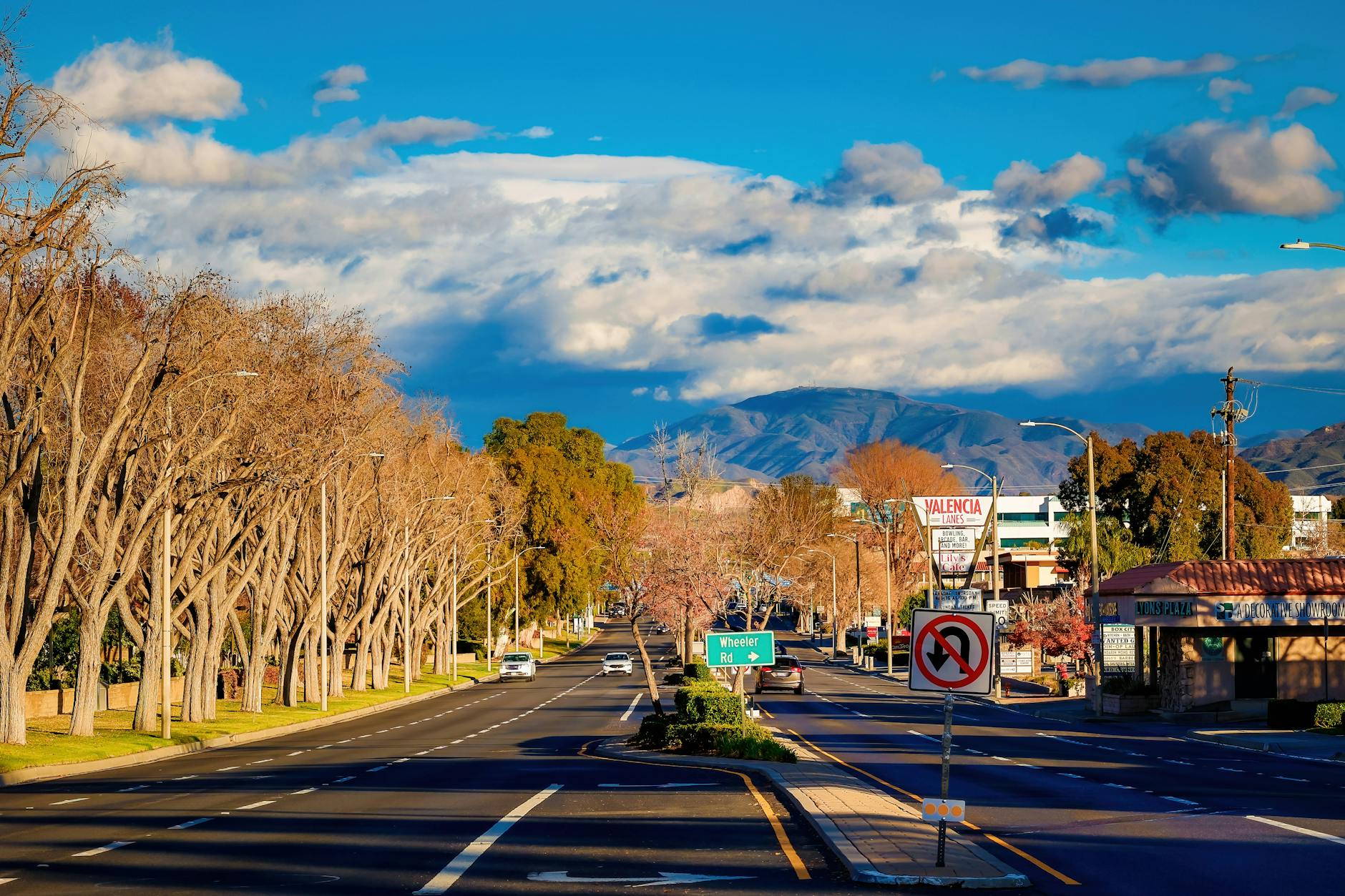 Fallbrook: Smart Budgeting for Community Living