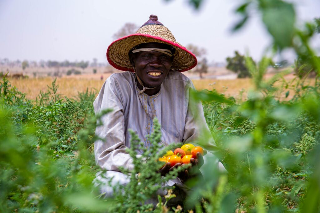 farmer harvesting crops