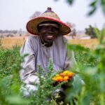 farmer harvesting crops