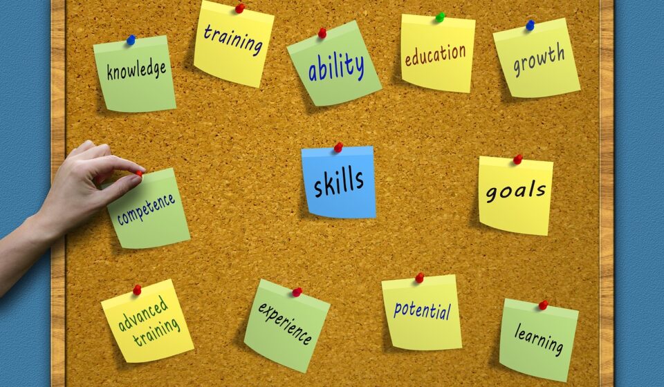 professional growth strategy