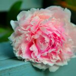 Rosie Ramsey smiling