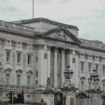 Emperor’s Children: A Beginner’s Look