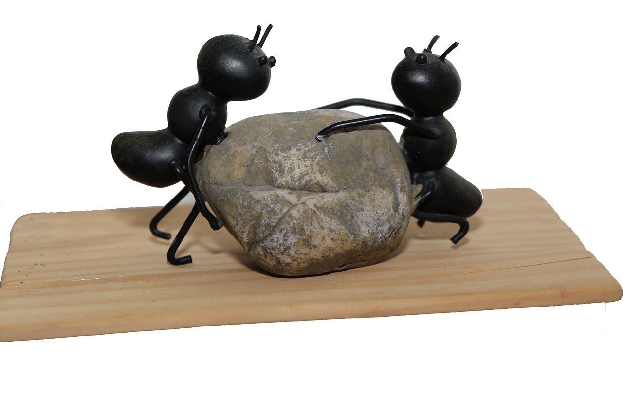 What is Succession Planning? Guide for Business Continuity