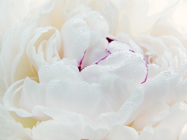Close-up of a white vinyl window frame showing its layered structure