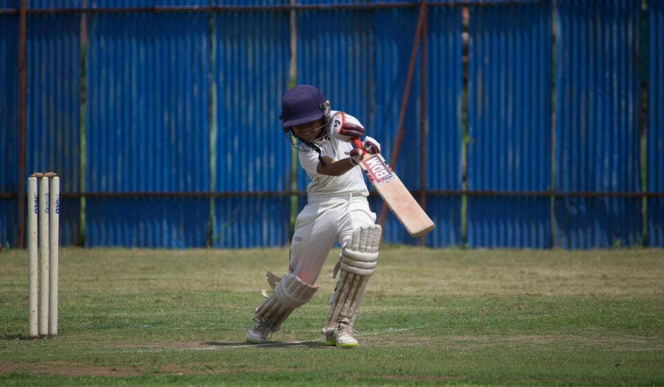 cricket bat curvature diagram