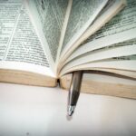 etymology of seaver