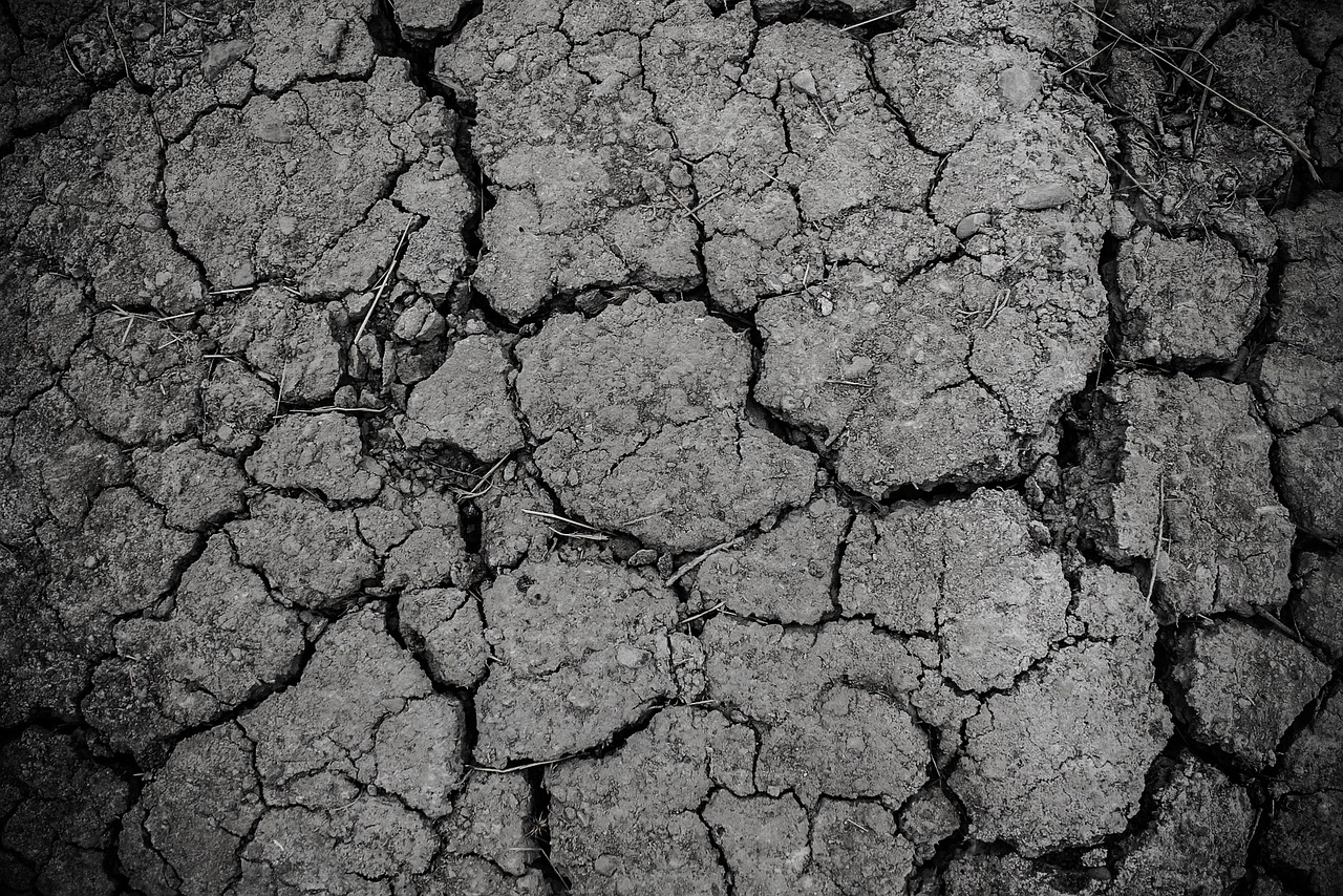 Foundation Settling: Understanding Signs, Causes