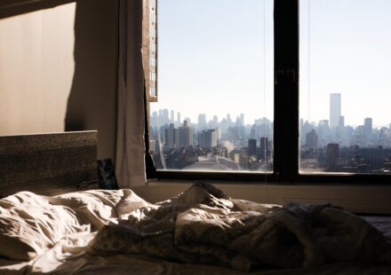 low light apartment plants