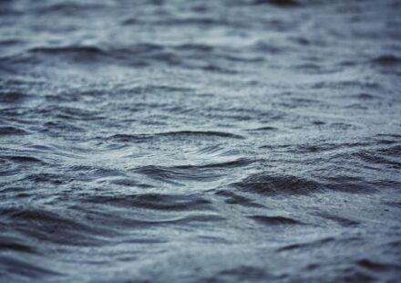 milton sterilising fluid uses