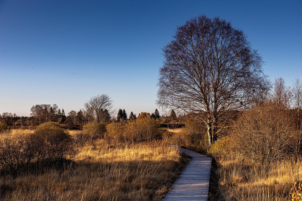Mutually Exclusive: Understanding the Concepts and