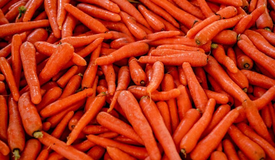 nutri carrot product packaging