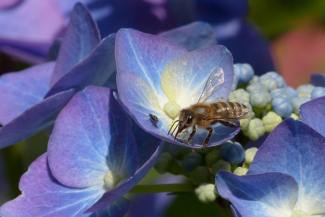 Screenshot of an API documentation page with code examples and interactive console