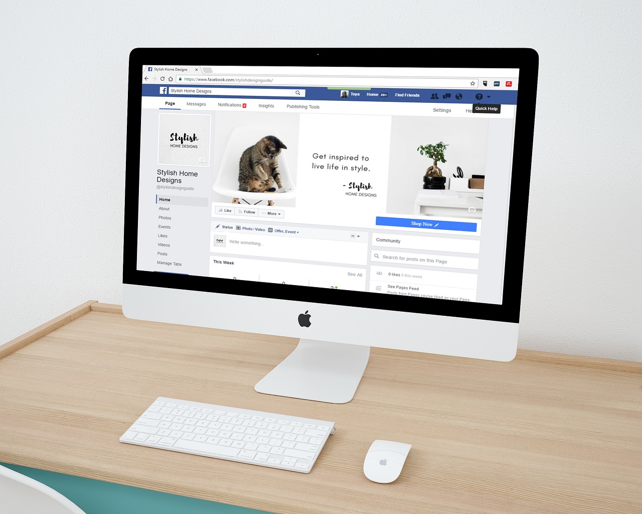 Socialmediagirls: Navigating Content & Community Safely