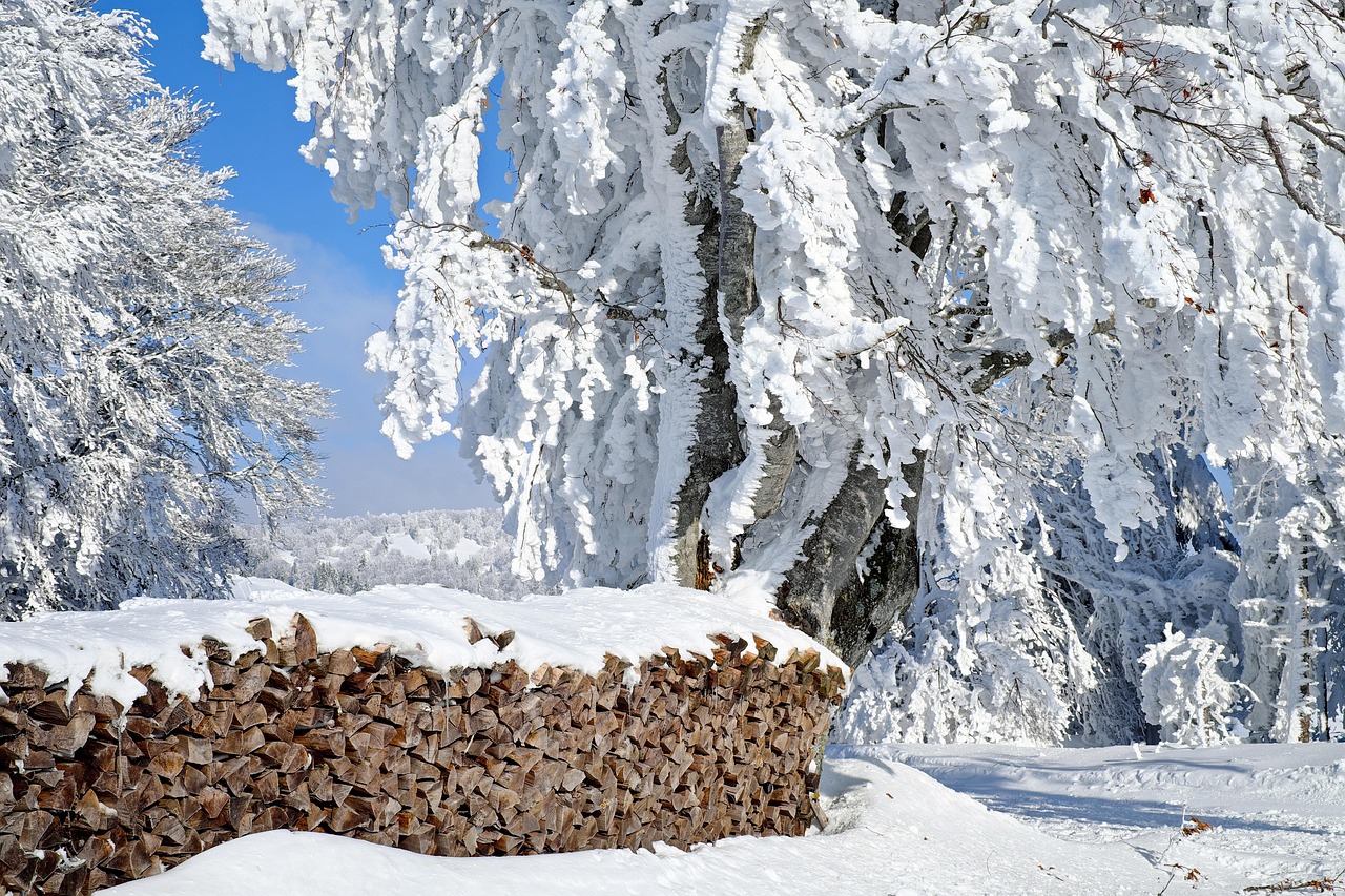 Firewood For Sale Near Me: Your Guide to Sourcing & Burning