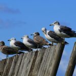 strategic alignment business
