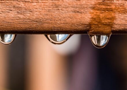 water stain wood repair