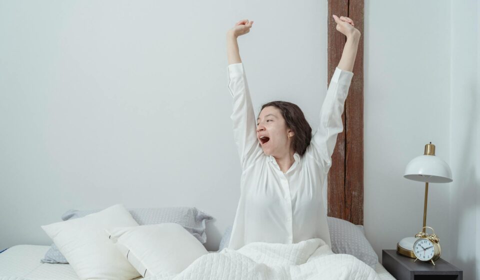 winkbed