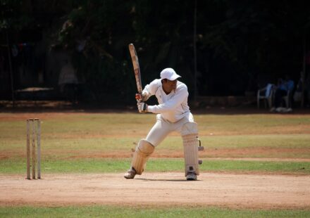 how can you tell a male cricket from a female cricket