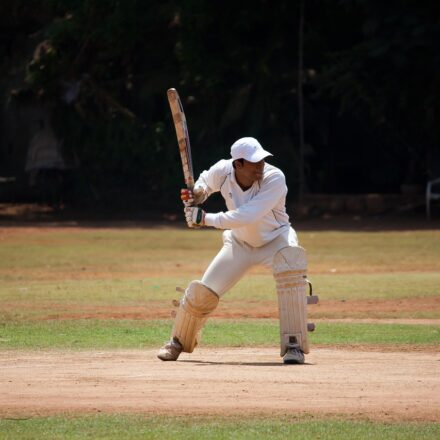 how can you tell a male cricket from a female cricket