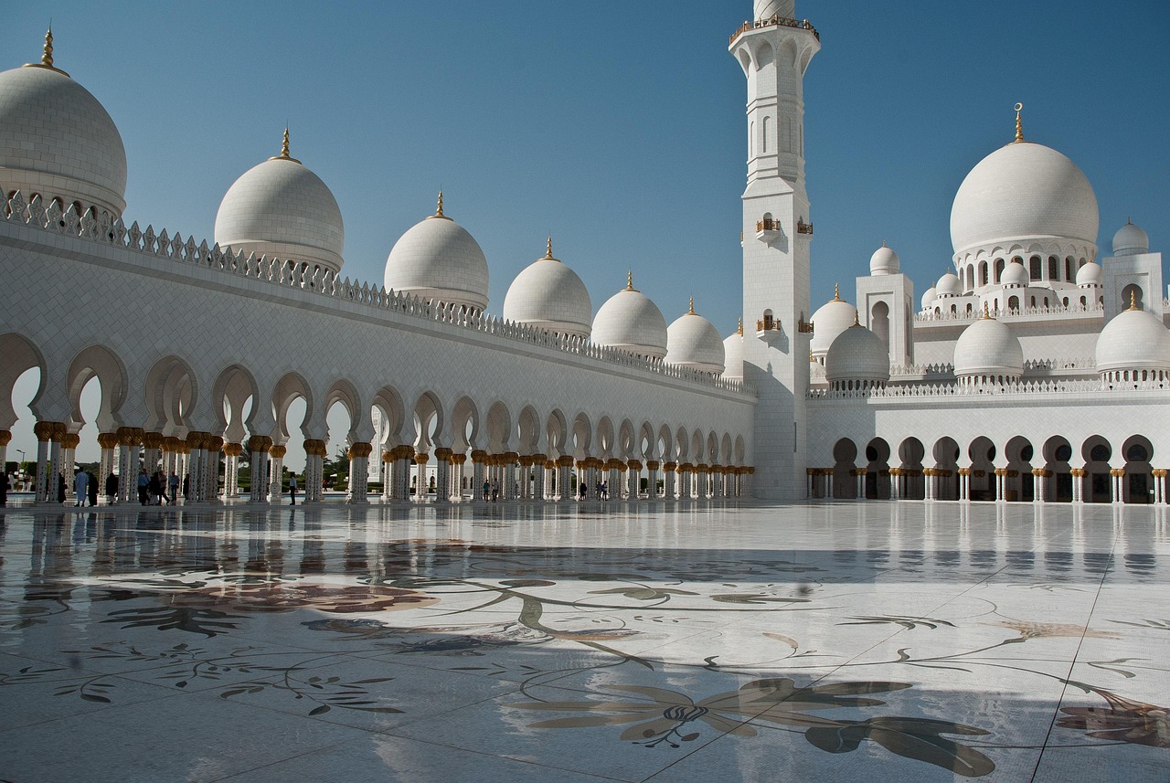 Abu Simple: Your Guide to Understanding and Choosing