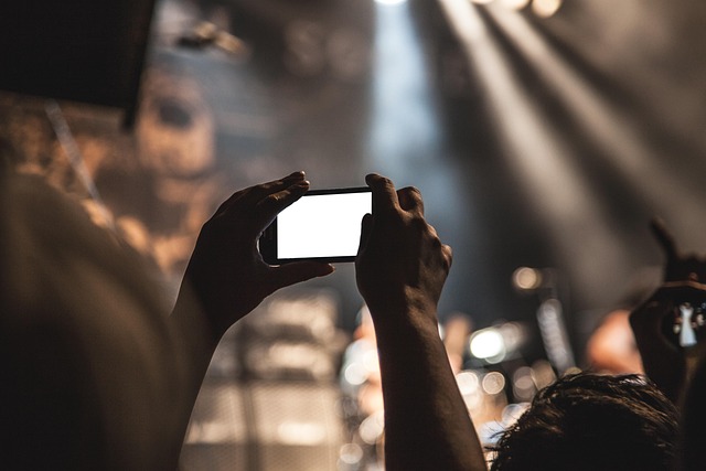 Audience holding up phone lights during a Tyler Chillers concert
