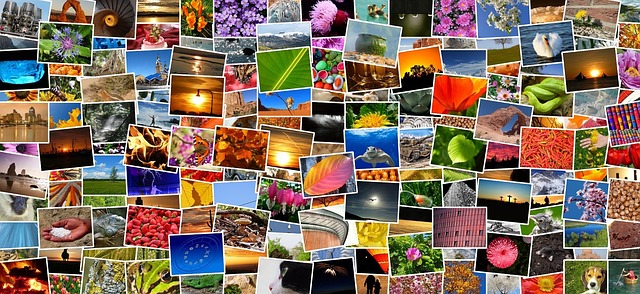Collage of diverse adult content categories representing niche online platforms