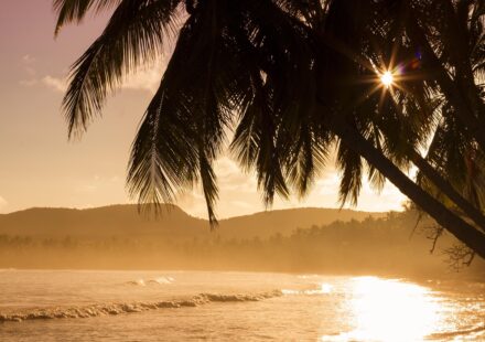 Cook Islands tropical beach