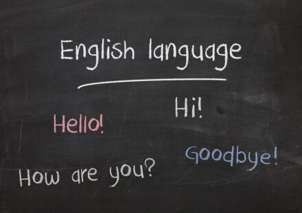 crisis plural grammar