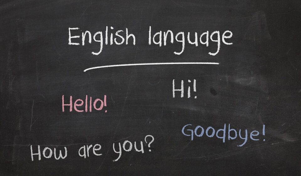 crisis plural grammar
