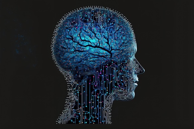 Diagram illustrating the brain's stress response and pathways for resilience (peace in war)