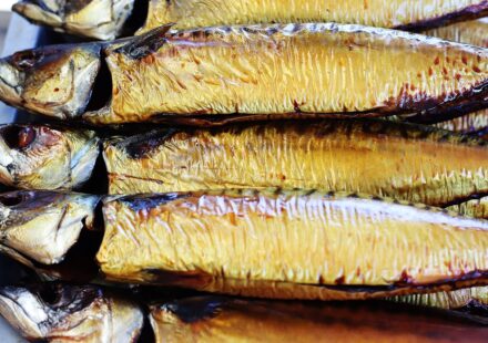 fresh mackerel fish
