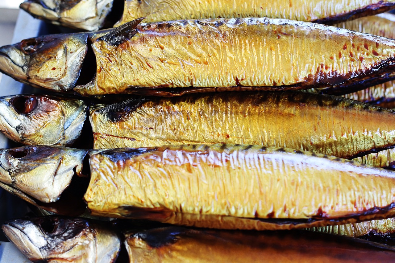 Mackerel Mackerel: Your Guide to Ocean Delicacies