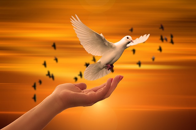 Illustration of hands opening to release a bird, symbolizing letting go.