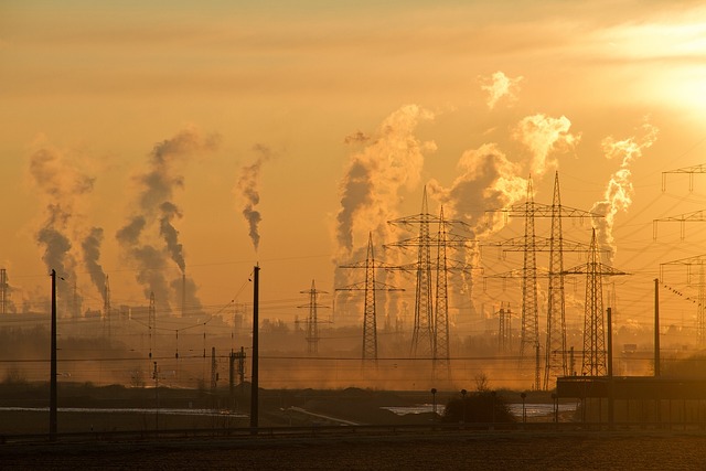 Infographic showing the environmental impact of paper production vs. digital data storage