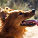instagram business profile examples