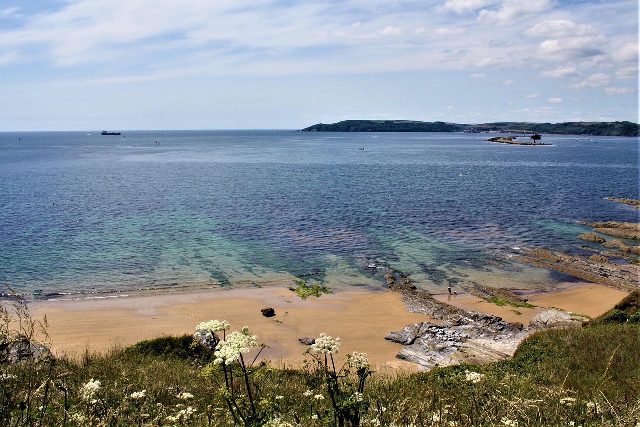 Met Plymouth: Your Guide to Apartments & Location