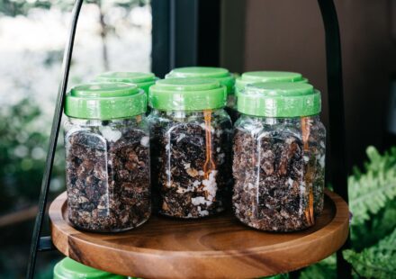 Myrrh Myrrh: Unveiling Its Ancient Roots and Modern Uses 2026