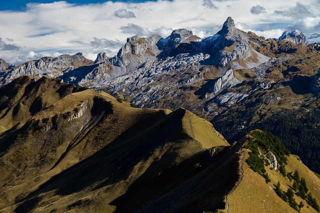 Panoramic view of the Conegliano Valdobbiadene Prosecco Hills