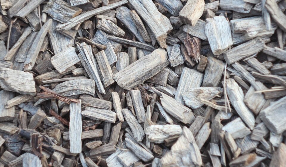 poplar wood lumber