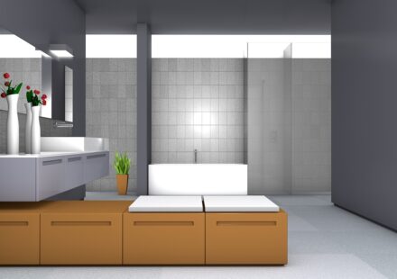 professional home cleaning