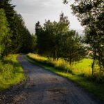 Slovakia landscape nature