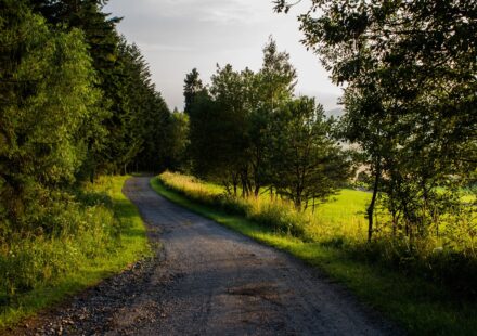 Slovakia landscape nature