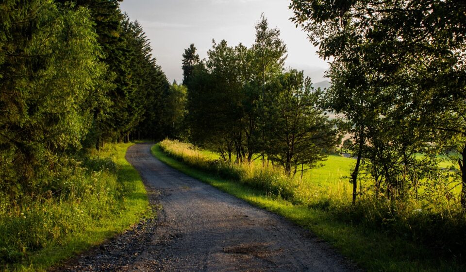 Slovakia landscape nature