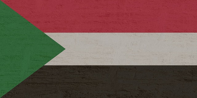 Photo of the Sudan flag being displayed at a diplomatic event or international conference in 2026.