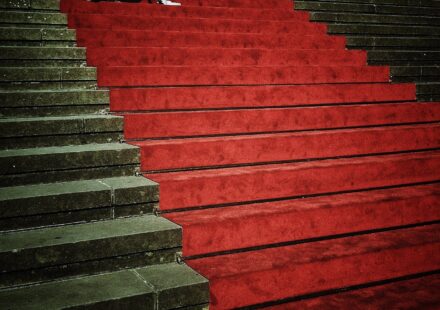 timothée chalamet red carpet