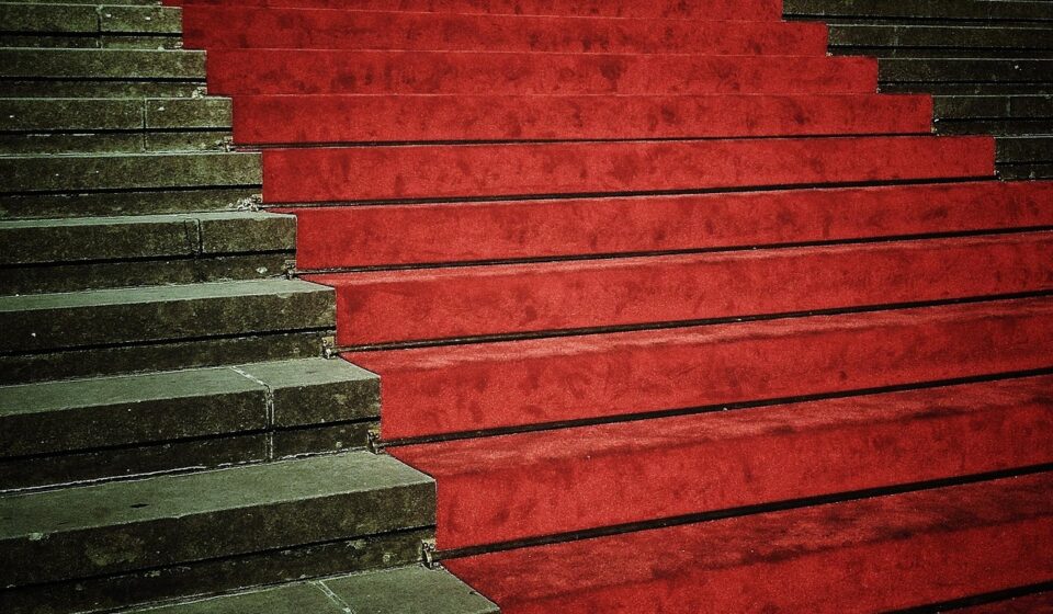 timothée chalamet red carpet