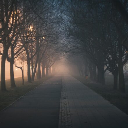 urban fog landscape