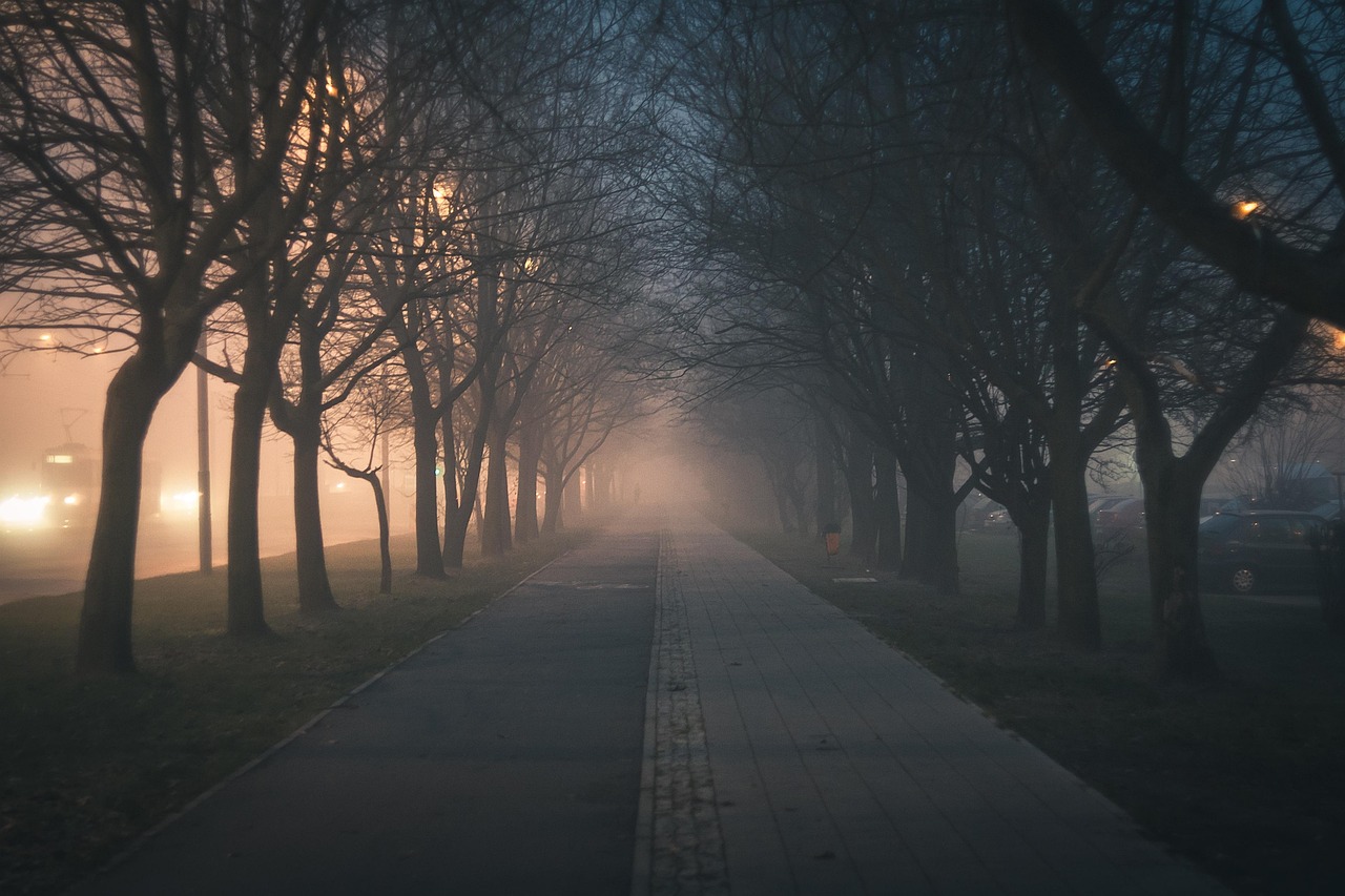 Lon Fog: Understanding Its Impact and How to Navigate It